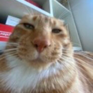 ArchiCAT