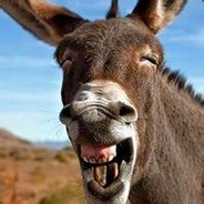 我问她为何拿着伞，她说避太阳