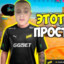 vladgorobes8