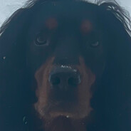 Olav
