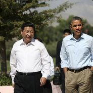 社会王蓝火哒哒哒哒哒