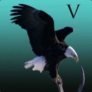 [V] dpalmeras{I-aspirant}