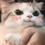 猫猫能有什么坏心眼呢