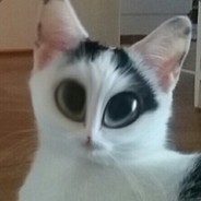 Mozzarella