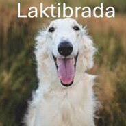 Laktibrada