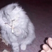 孩子你怎么睡了