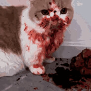 腹水之盆扫墓上坟