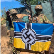 победитель