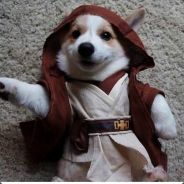 [Cros] Cobra <Dog> Phasmophobia