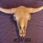 wisent1664