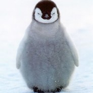 SaveThePenguin9