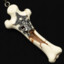 Bone Charm