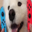 ninten doggo