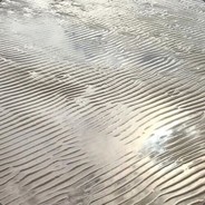 兄弟你先别着急