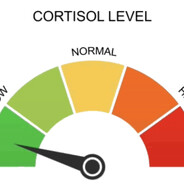 Low Cortisol Gaming