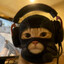 MeowMeow!