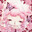 Deworm me avatar