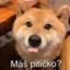 Jusik_CZE