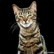 有一点点打脑壳