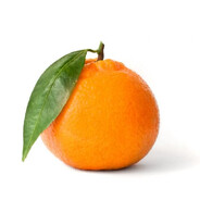 Mandarin
