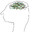 sellfish