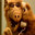 ALF