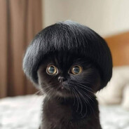 дагончик SS