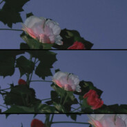 想破头也不会取名