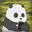 Panda's Avatar