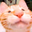:D