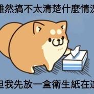我家猫会蹬墙跳我不会
