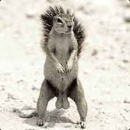 theodor CSGOFLY CSGOFLY