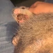 丂 卄 丨 乙  乙 ㄚ