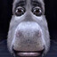I_licKB0oTyhOle