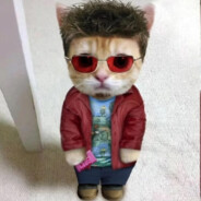 哥们认为他是泰勒德顿