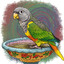 Bird Bath