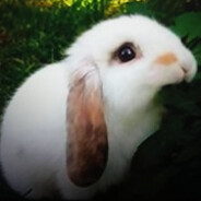 Mr. Nice Rabbit