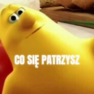 Ludzik z Delmy