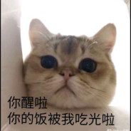 哪吒4 一块石头两斤莲藕三只眼睛牵条狗打如来