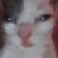 xen