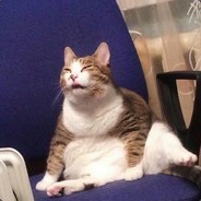 小葡萄炖大番薯