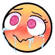 小罗不会van游戏