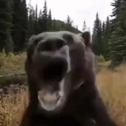 Шарабудин-штукат