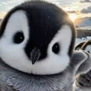 Андрюха хмель