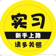 新手 - steam id 76561197963193398