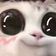 开始