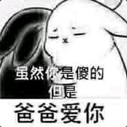 万能的套套