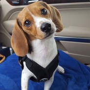 翻了你娃娃的皮水