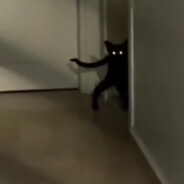 SmelieCAT - steam id 76561197961890425