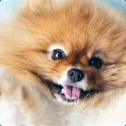 DaanDaan avatar